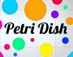 Картинка PetriDish.pw